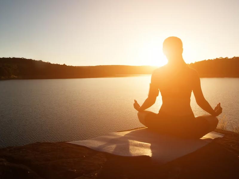 Senior Citizens Service Council